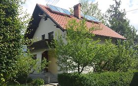 Apartments Boris